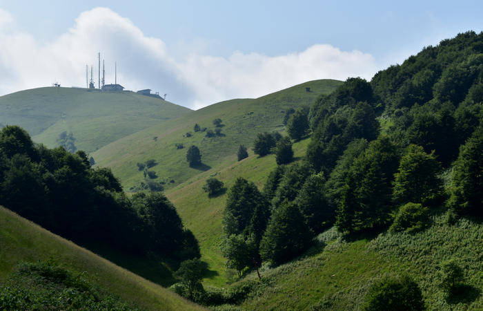 escursione naturalistica Malga Mariech Barbaria Orsere Forcelletta monte Cesen
