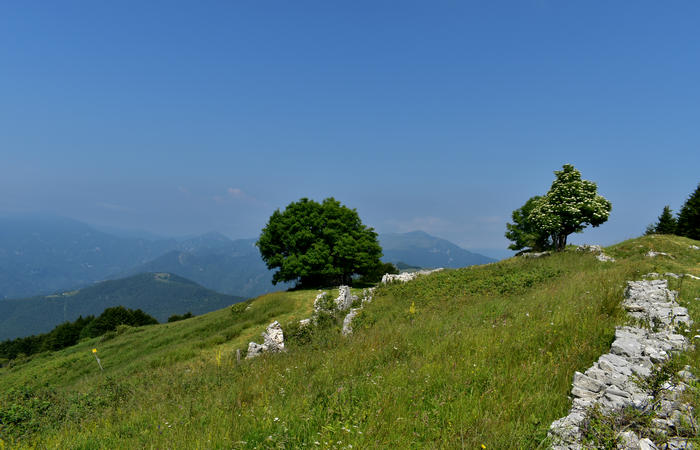 escursione naturalistica Malga Mariech Barbaria Orsere Forcelletta monte Cesen