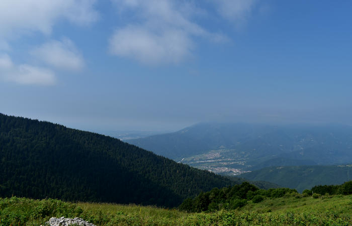 escursione naturalistica Malga Mariech Barbaria Orsere Forcelletta monte Cesen