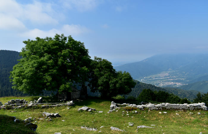 escursione naturalistica Malga Mariech Barbaria Orsere Forcelletta monte Cesen