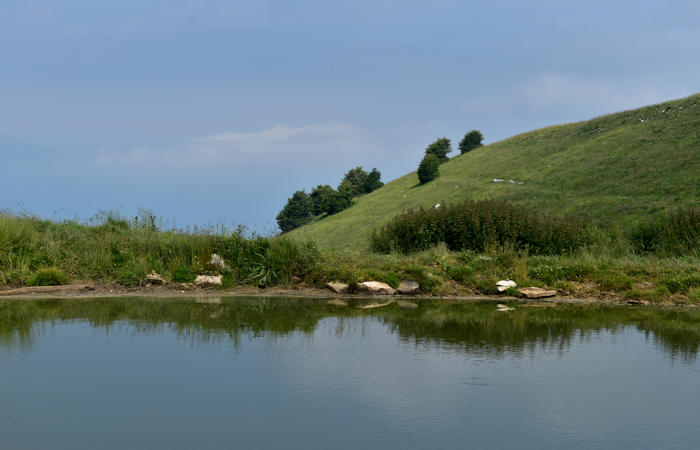escursione naturalistica Malga Mariech Barbaria Orsere Forcelletta monte Cesen