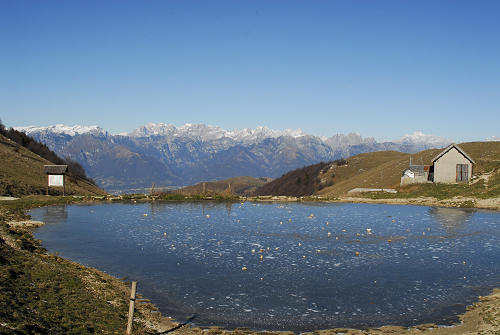 Agriturismo malga Mariech al monte Cesen