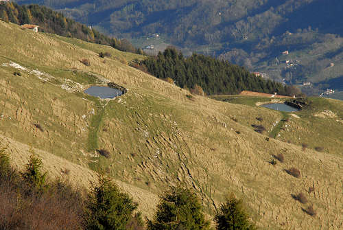 Agriturismo malga Mariech al monte Cesen