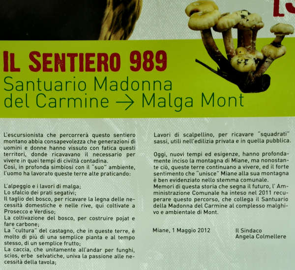 sentiero Madonna del Carmine