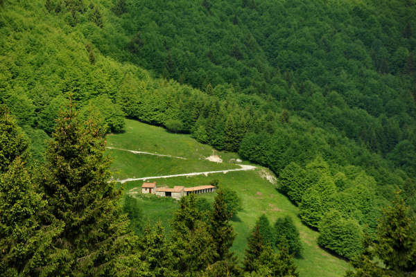 rifugio Posa Puner malga Mont monte Crep