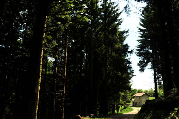 rifugio Posa Puner malga Mont monte Crep