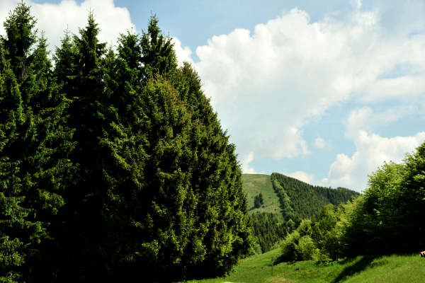 rifugio Posa Puner malga Mont monte Crep
