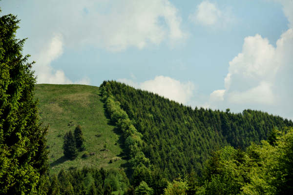 rifugio Posa Puner malga Mont monte Crep