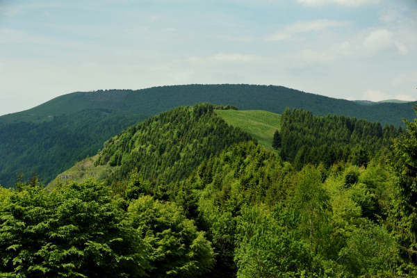 rifugio Posa Puner malga Mont monte Crep