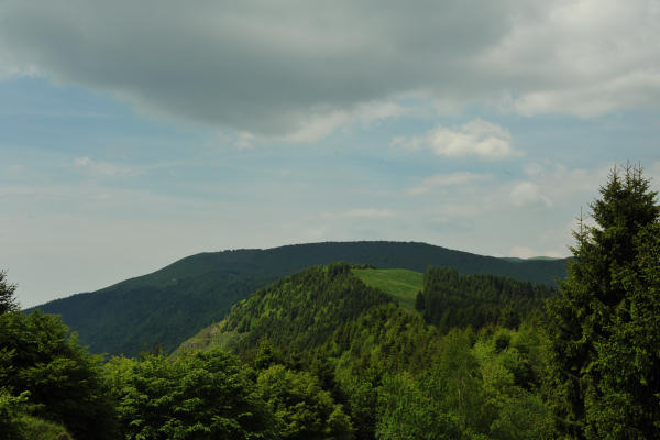 rifugio Posa Puner malga Mont monte Crep