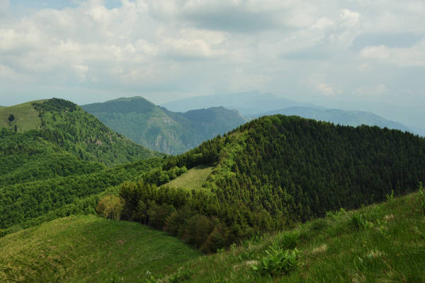 rifugio Posa Puner malga Mont monte Crep