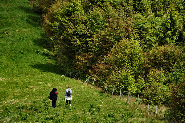 rifugio Posa Puner malga Mont monte Crep