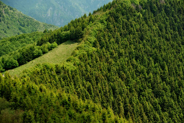 rifugio Posa Puner malga Mont monte Crep