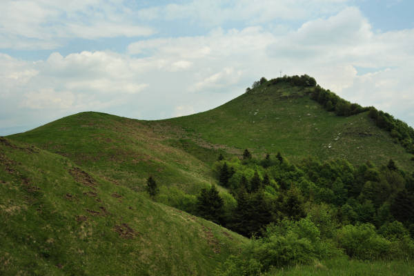 rifugio Posa Puner malga Mont monte Crep