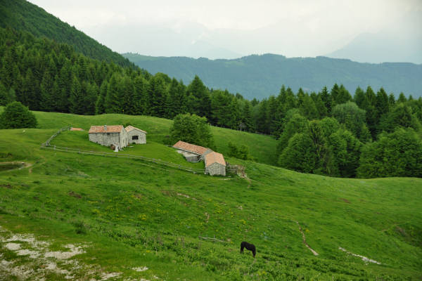 rifugio Posa Puner malga Mont monte Crep