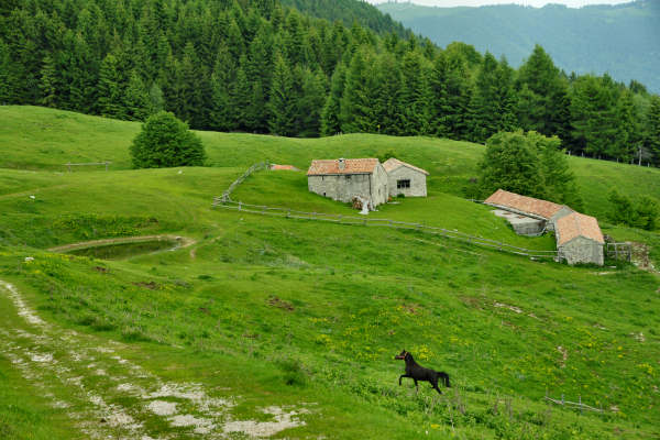 rifugio Posa Puner malga Mont monte Crep