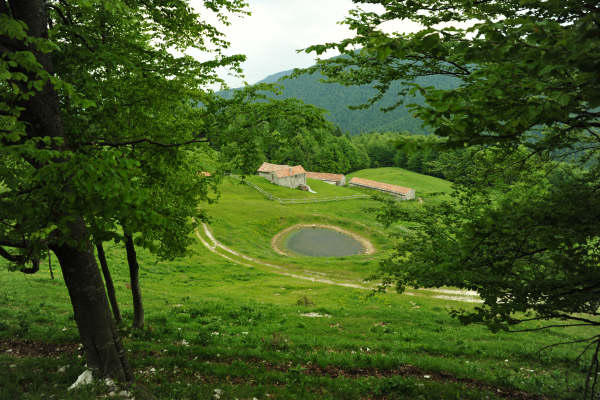 rifugio Posa Puner malga Mont monte Crep