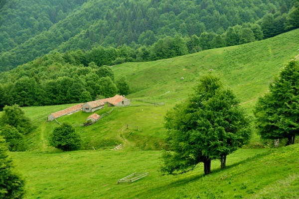 rifugio Posa Puner malga Mont monte Crep