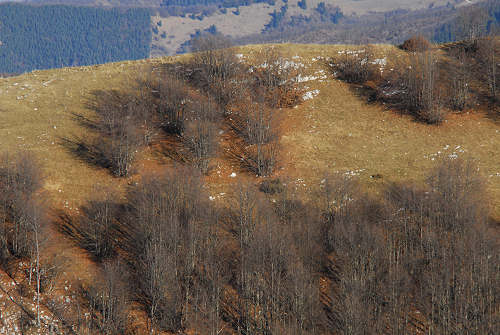 Monte Cesen, Valdobbiadene Miane Segusino Lentiai