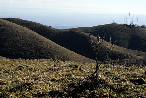 Monte Cesen, Valdobbiadene Miane Segusino Lentiai