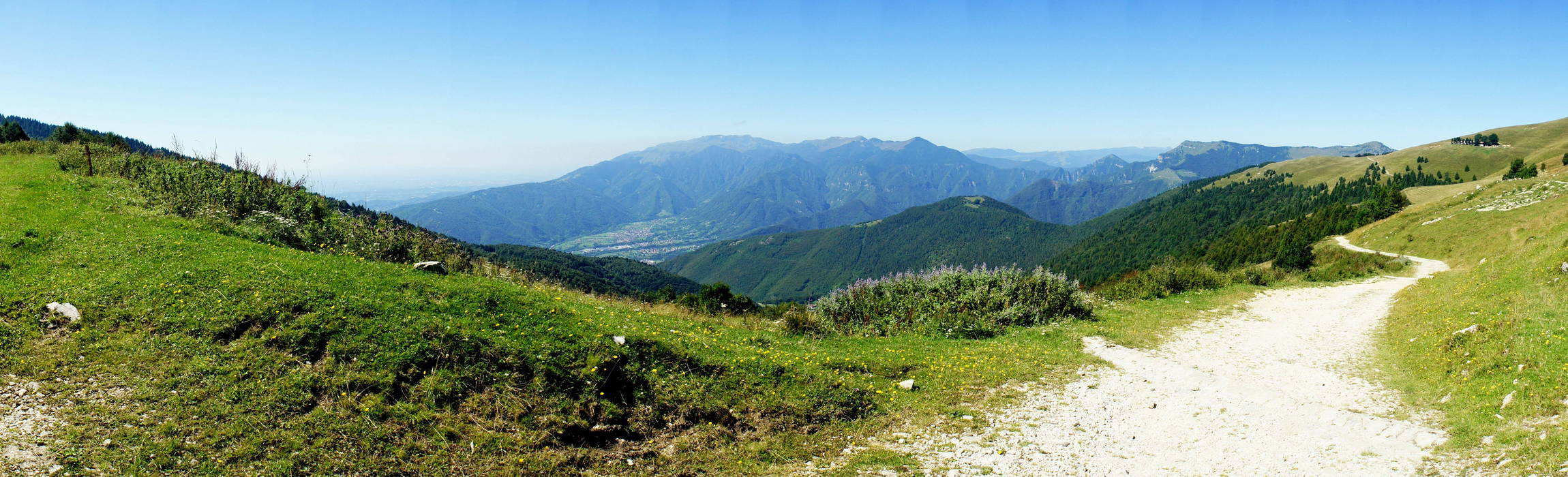 Monte Cesen, dalla Forcella monte Zogo