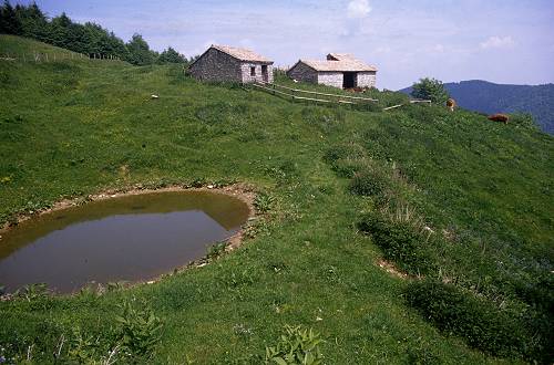 Cesen - Praderadego - Visentin