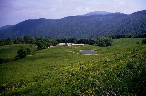 Cesen - Praderadego - Visentin