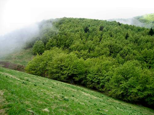 Cesen - Miane - Posa Puner