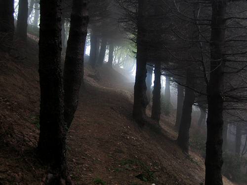 Cesen - Miane - Posa Puner