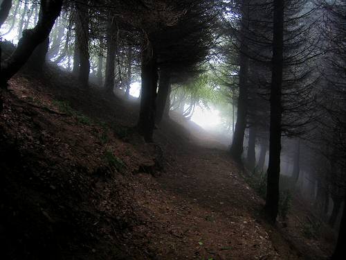 Cesen - Miane - Posa Puner