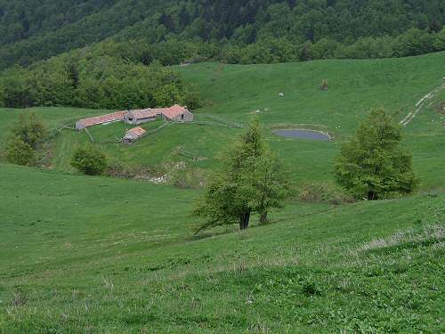 Cesen - Miane - Posa Puner