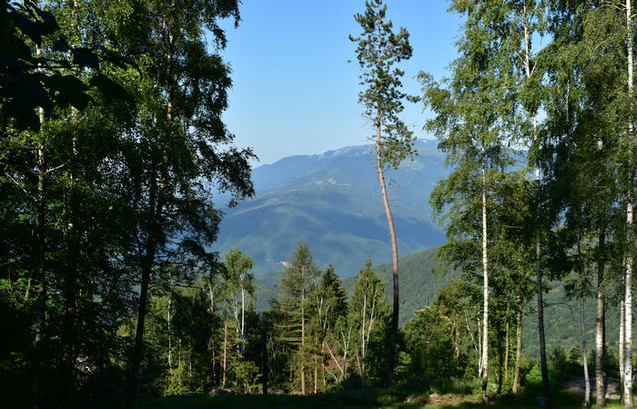 Sentiero naturalistico Acquedotto Prese del monte Cesen a Pianezze Balcon