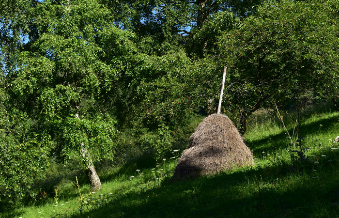 Sentiero naturalistico Acquedotto Prese del monte Cesen a Pianezze Balcon