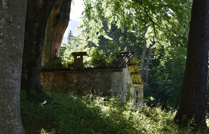 Sentiero naturalistico Acquedotto Prese del monte Cesen a Pianezze Balcon