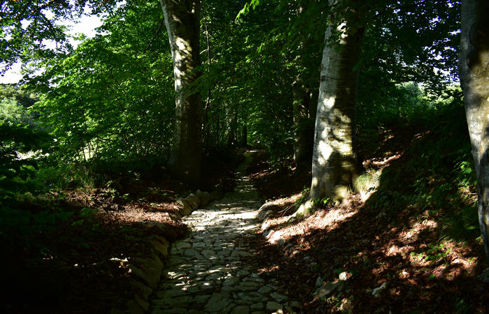 Sentiero naturalistico Acquedotto Prese del monte Cesen a Pianezze Balcon