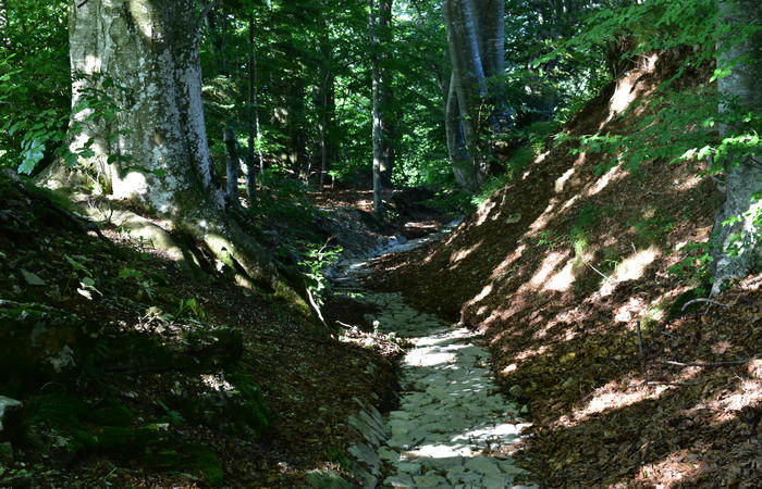 Sentiero naturalistico Acquedotto Prese del monte Cesen a Pianezze Balcon
