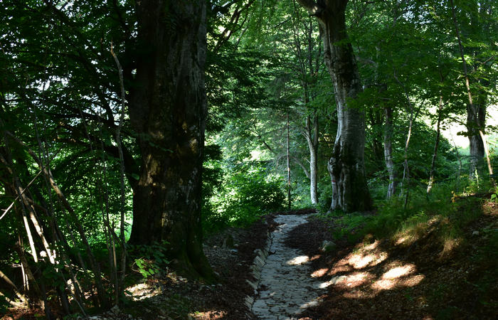 Sentiero naturalistico Acquedotto Prese del monte Cesen a Pianezze Balcon