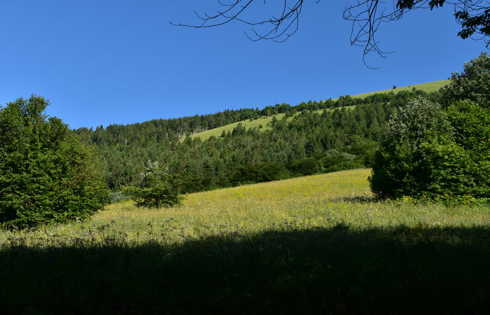 Sentiero naturalistico Acquedotto Prese del monte Cesen a Pianezze Balcon