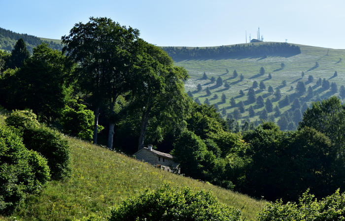 Sentiero naturalistico Acquedotto Prese del monte Cesen a Pianezze Balcon