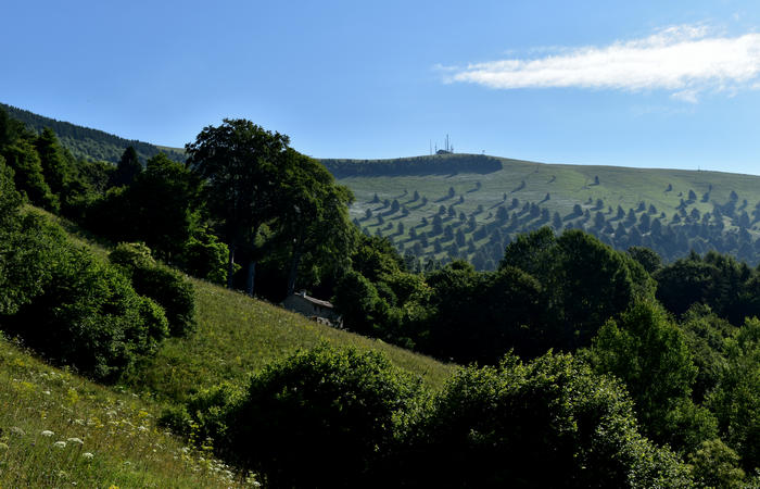 Sentiero naturalistico Acquedotto Prese del monte Cesen a Pianezze Balcon