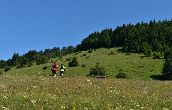 Sentiero naturalistico Acquedotto Prese del monte Cesen a Pianezze Balcon
