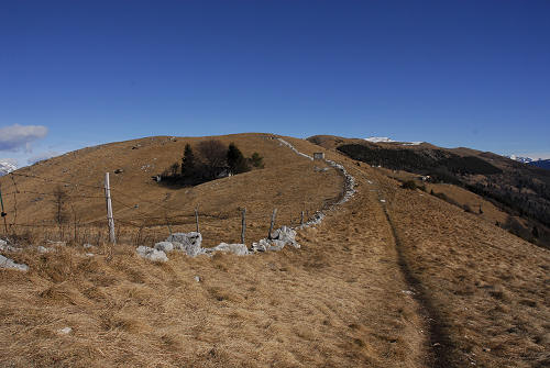 sentiero delle malghe dal Pian dele Femene al Col Visentin