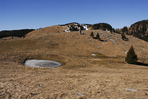 sentiero delle malghe dal Pian dele Femene al Col Visentin