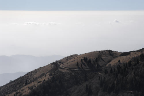 sentiero delle malghe dal Pian dele Femene al Col Visentin