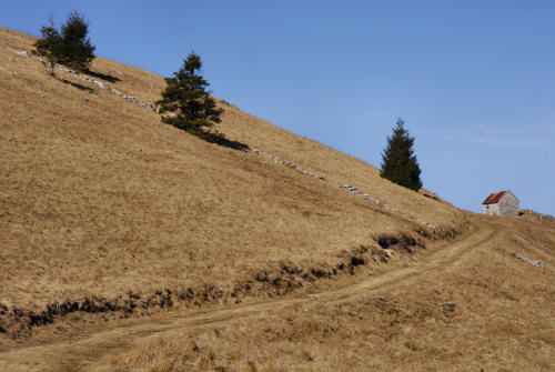 sentiero delle malghe dal Pian dele Femene al Col Visentin