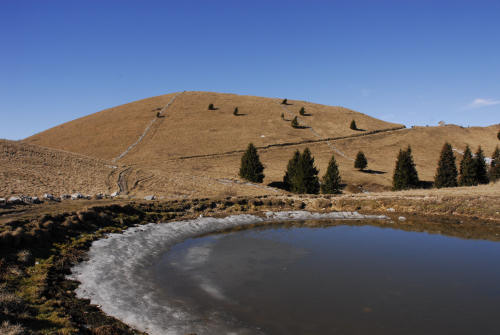 sentiero delle malghe dal Pian dele Femene al Col Visentin