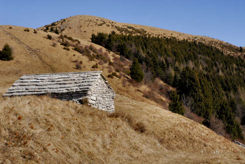 sentiero delle malghe dal Pian dele Femene al Col Visentin