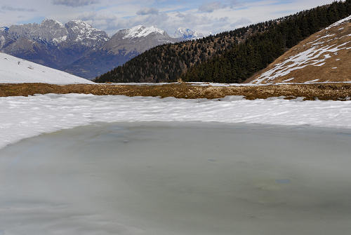 sentiero delle malghe dal Pian dele Femene al Col Visentin