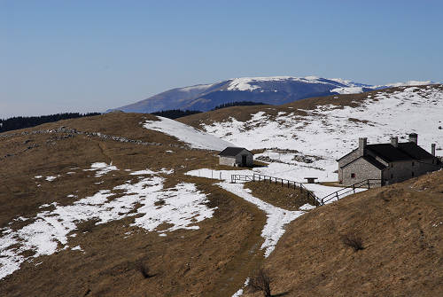 sentiero delle malghe dal Pian dele Femene al Col Visentin