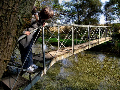 Fontane Bianche di Fontigo a Falzè di Piave Sernaglia della Battaglia